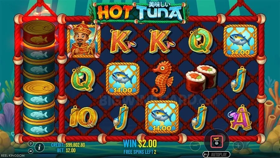 Diverse Slot Game Types on taya01